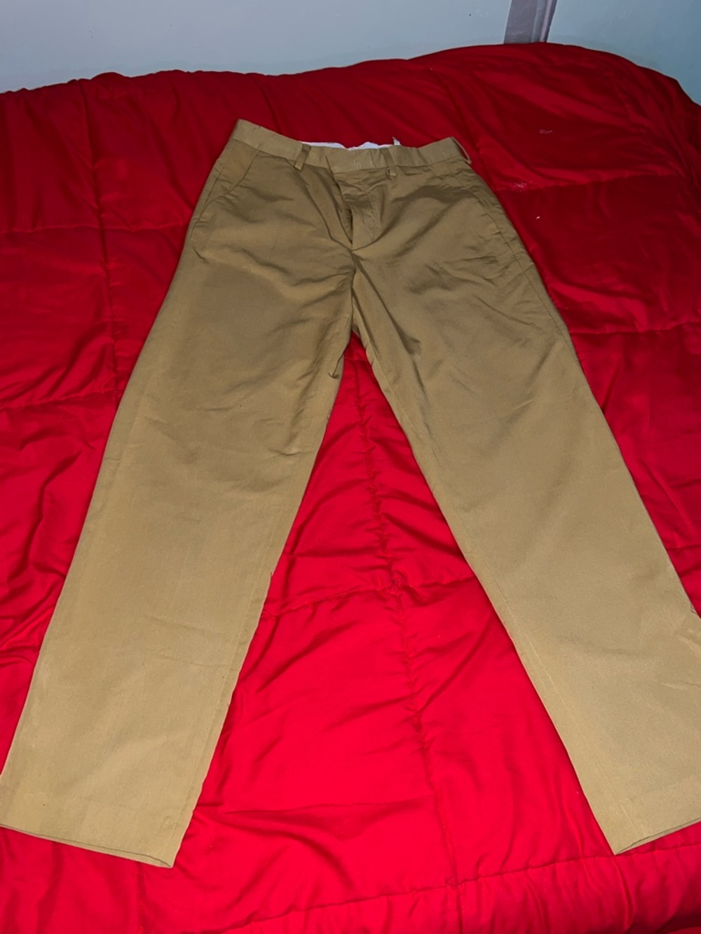Zara Men's Tan Straight-Leg Pants